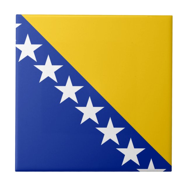 Bandeira da Bósnia e Herzegovina (Frente)