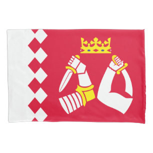 Bandeira da Carélia do Norte