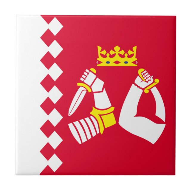 Bandeira da Carélia do Norte (Frente)