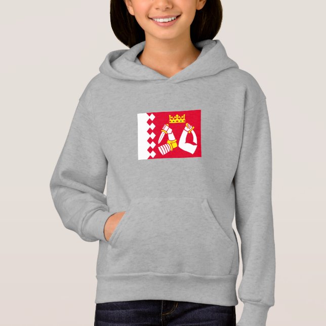 Bandeira da Carélia do Norte (Frente)