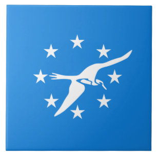 Bandeira da Cidade de Corpus Christi (Texas)