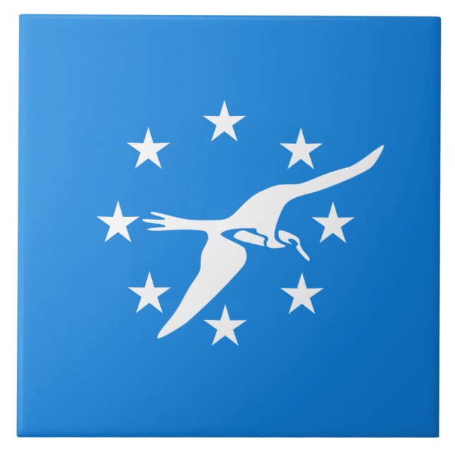 Bandeira da Cidade de Corpus Christi (Texas) (Frente)