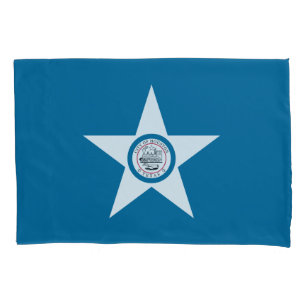 Bandeira da cidade de Houston, caso de Travesseiro