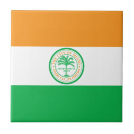 Bandeira da Cidade de Miami (Flórida)