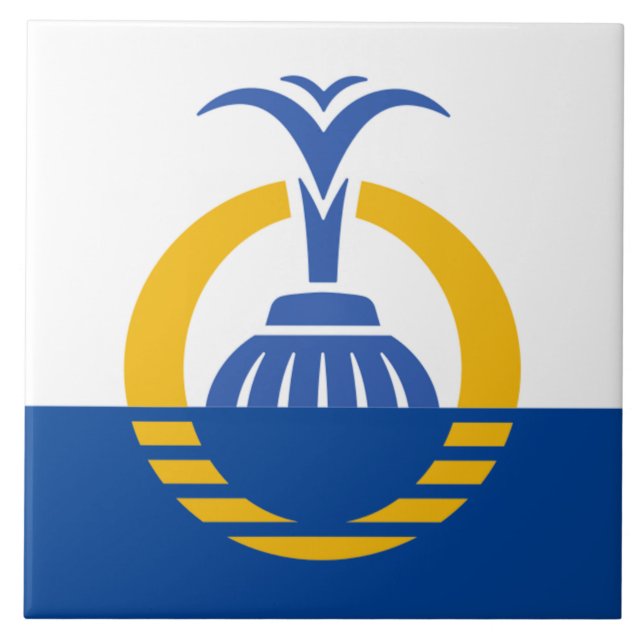 Bandeira da cidade de Orlando (Frente)