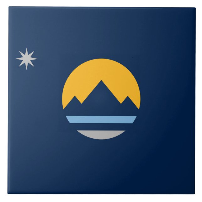 Bandeira da cidade de Reno (Frente)