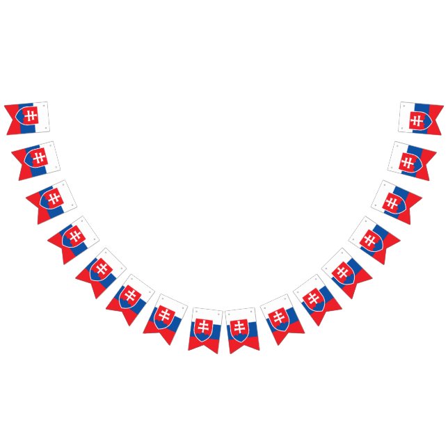 Bandeira da Eslováquia (Todos)