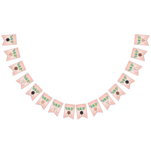 Bandeira da Festa da Princesa! (Todos)