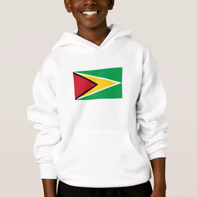 Bandeira da Guiana (Frente)