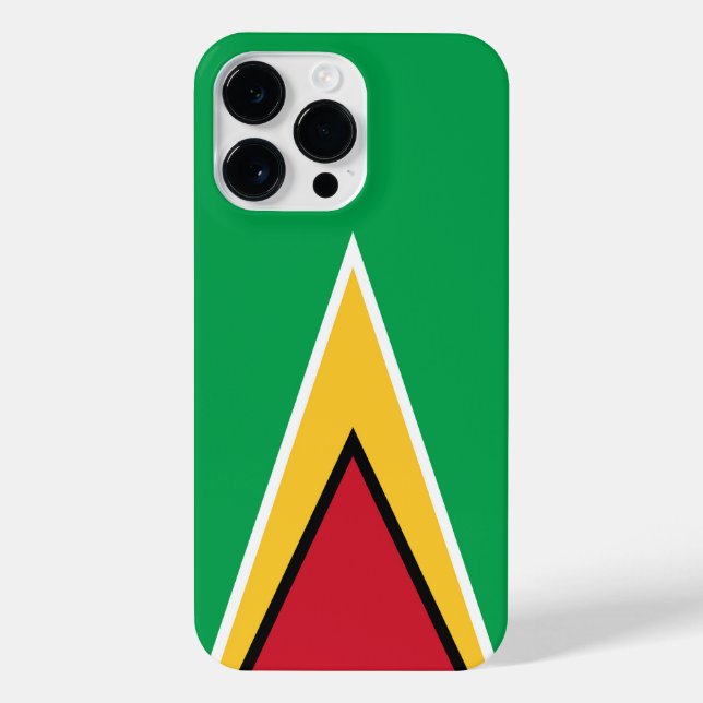 bandeira da Guiana (Verso)