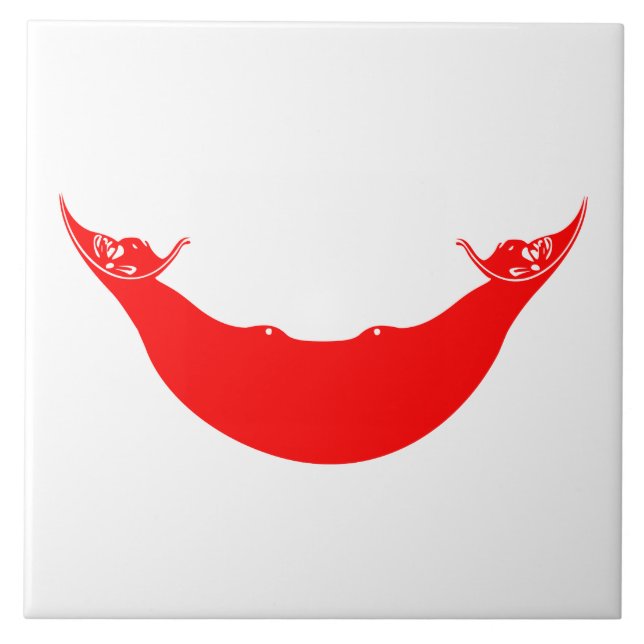 Bandeira da Ilha da Páscoa (Rapa Nui) (Frente)