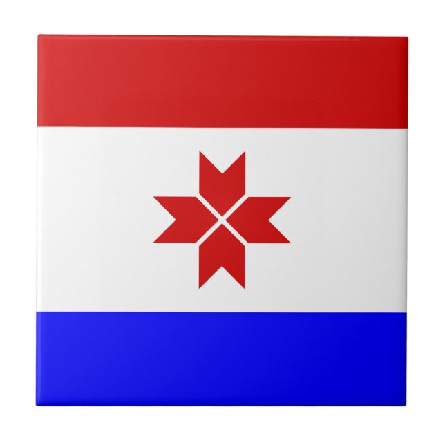 Bandeira da Mordóvia (Frente)