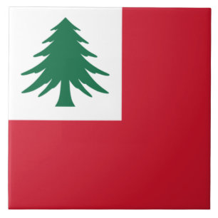 Bandeira da Nova Inglaterra