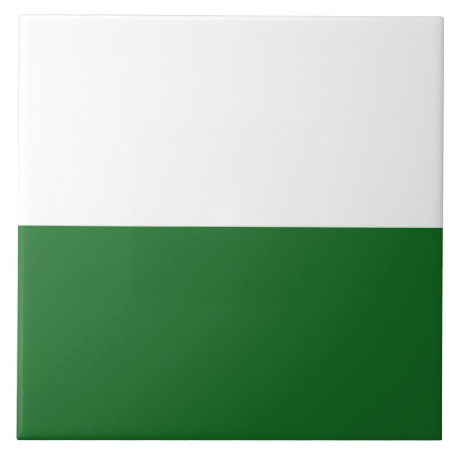 Bandeira da Saxónia (Estado alemão) (Frente)