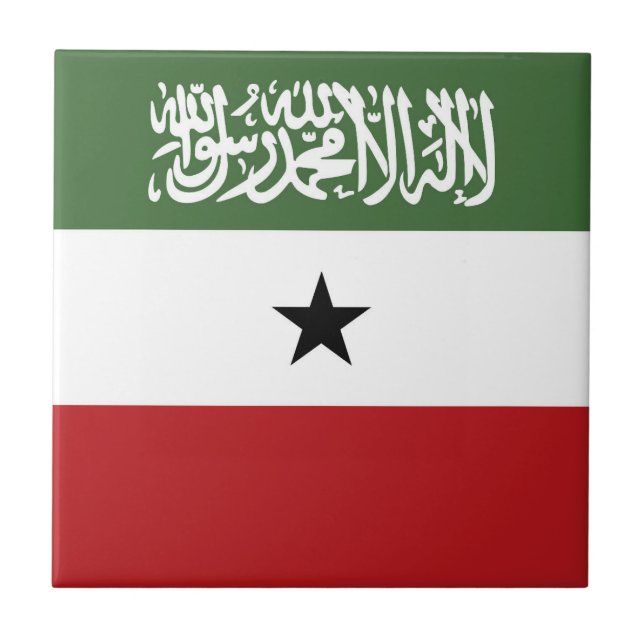 Bandeira da Somalilândia (Frente)
