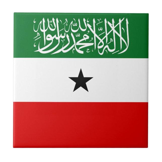 Bandeira da Somalilândia (Frente)