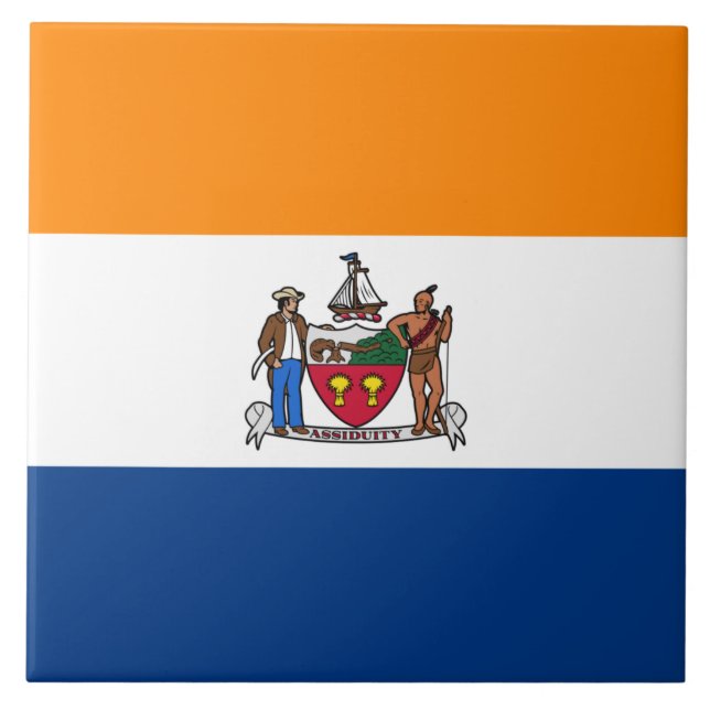 Bandeira de Albany (Nova Iorque) (Frente)