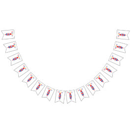 Bandeira de Aniversário Color Remix