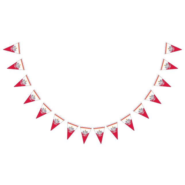 Bandeira de Bandeira e Polônia de Bandeiras Polone (Todos)