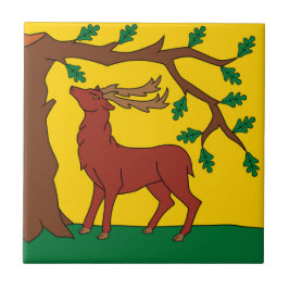 Bandeira de Berkshire (Reino Unido)