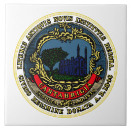 Bandeira de Cambridge (Massachusetts)