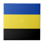 Bandeira de Gelderland<br><div class="desc">Bandeira de Gelderland,  uma província dos Países Baixos. A bandeira é um tricolor horizontal de azul,  amarelo e preto. Suas cores se originam do casaco de braços de Gelderland que,  por sua vez,  se baseava no casaco de braços do Hertogdom Gelre.</div>