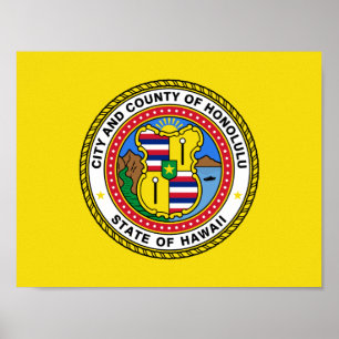 Bandeira de Honolulu, Poster Havaí