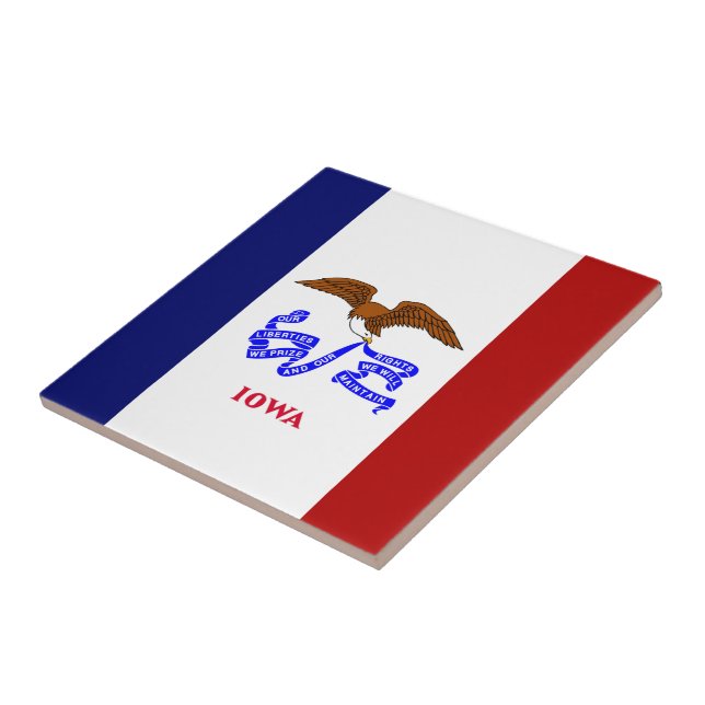 Bandeira de Iowa (Lateral)