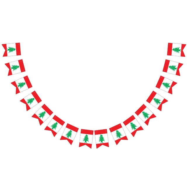 Bandeira de Líbano (Todos)