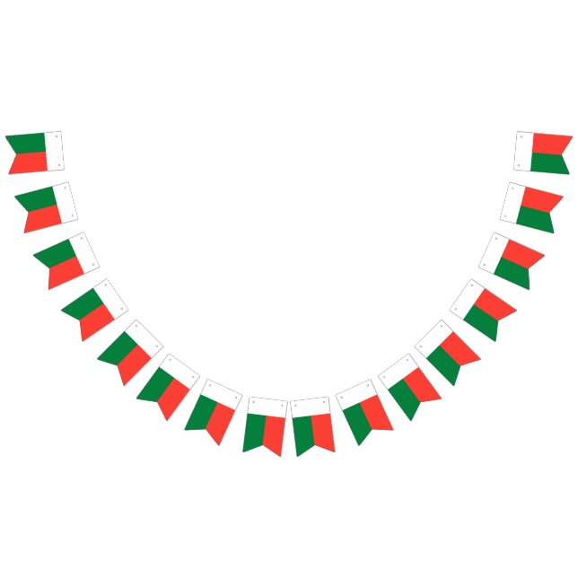 Bandeira de Madagascar (Todos)