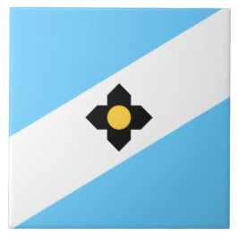 Bandeira de Madison (Wisconsin)