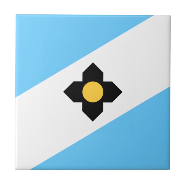 Bandeira de Madison, Wisconsin (Frente)