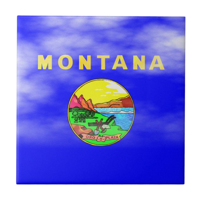 BANDEIRA DE MONTANA (Frente)