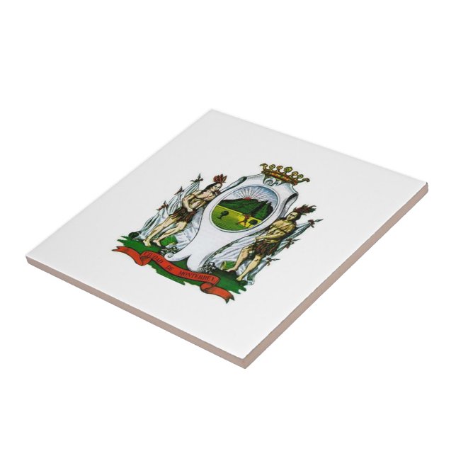 Bandeira de Monterrey, Nuevo León - MÉXICO (Lateral)