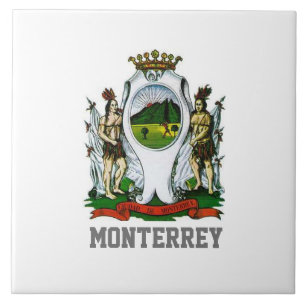 Bandeira de Monterrey, Nuevo León - MÉXICO