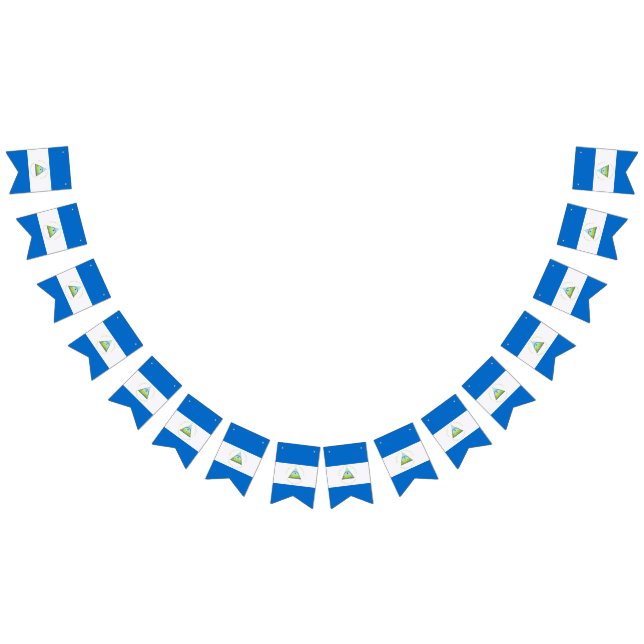 Bandeira de Nicarágua (Todos)