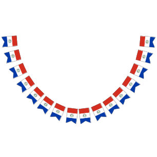Bandeira de Paraguai