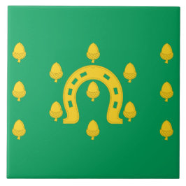 Bandeira de Rutland (distrito do Reino Unido)