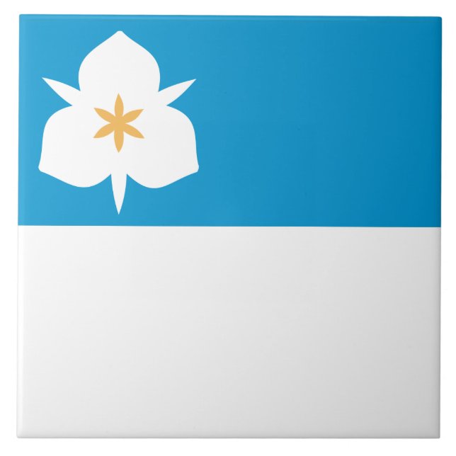 Bandeira de Salt Lake City (Utah) (Frente)