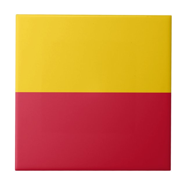 Bandeira de Schagen (Frente)