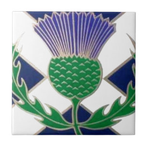 Bandeira de Scotland e de cardo