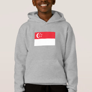 Bandeira de Singapura