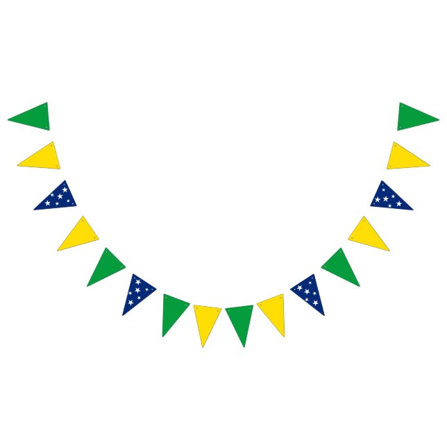 Bandeira do Brasil (Todos)