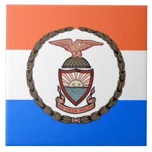 Bandeira do Bronx (Borough in Nova Iorque)