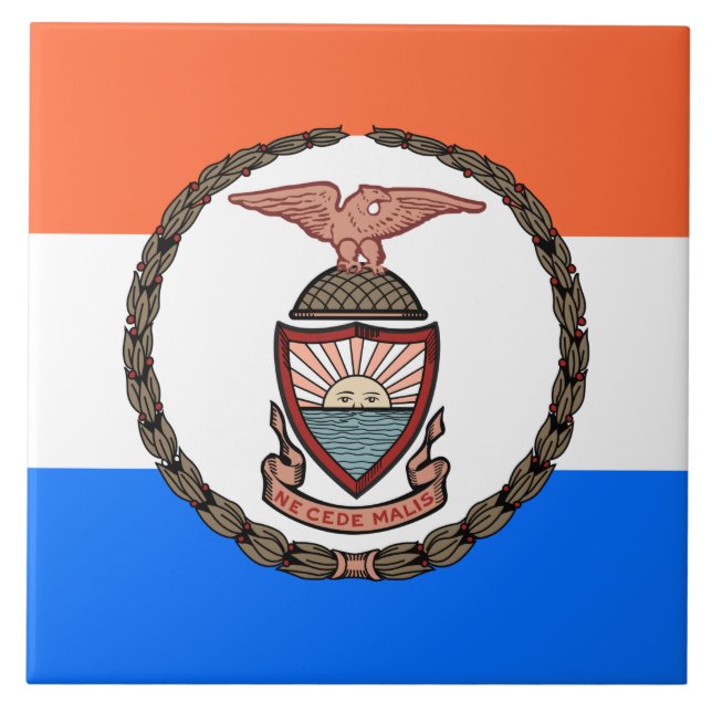 Bandeira do Bronx (Borough in Nova Iorque) (Frente)