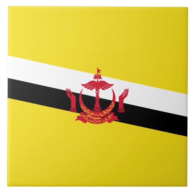 Bandeira do Brunei (Frente)