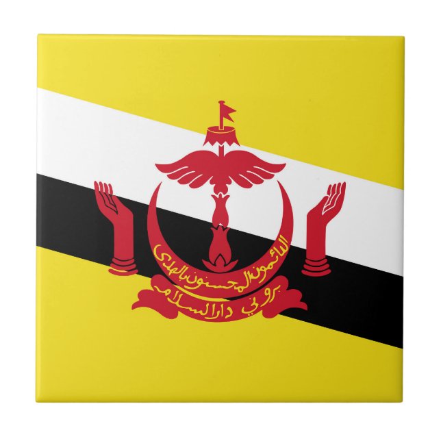 Bandeira do Brunei (Frente)