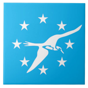 Bandeira do Corpus Christi