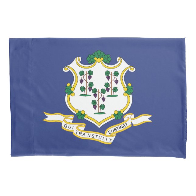 Bandeira do Estado de Connecticut (Frente)