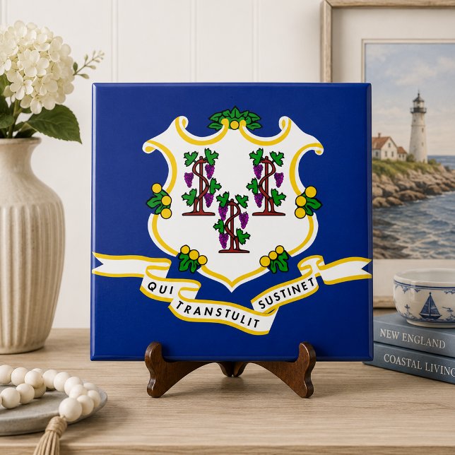 Bandeira do Estado de Connecticut (Criador carregado)